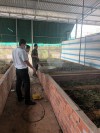 Kết quả kiểm tra an toàn thực phẩm trong dịp tết Nguyên đán Quý Mão và mùa Lễ hội Xuân 2023